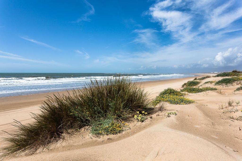 Fantastico Atico Con Terraza, Garaje, Wifi, Con Todo Para Playa, Piscina Y Casa Y No Facturar Maletas! El Portil Bagian luar foto